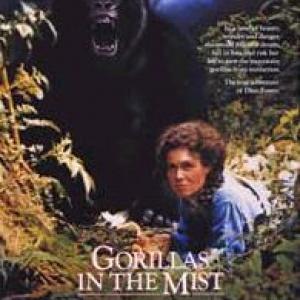 Gorillas in the mist, filmposter