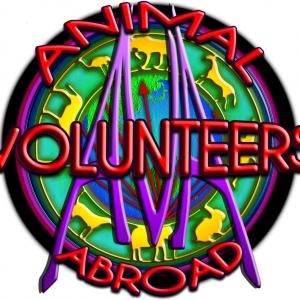 Adventure, action, intrigue, trauma, tears, tantrums, blood, sweat, mud, tears and fears like you've never seen them before-AVA-Animal Volunteers Abroad.