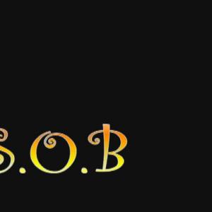 Logo of the S.O.B Television Show
