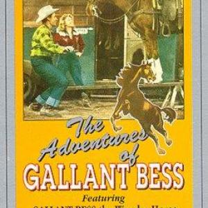 Audrey Long Cameron Mitchell and Gallant Bess in Adventures of Gallant Bess 1948