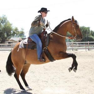 Montana Cowgirl and Heather George Horse Stunt rider/Trainer