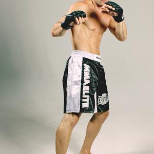 MMA Cage Fight Picture 62012