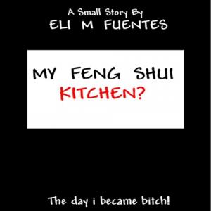 My Feng Shui Kitchen