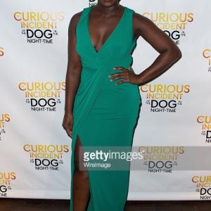Opening Night of The Broadway premiere of The Curious Incident of the Dog in the NightTime