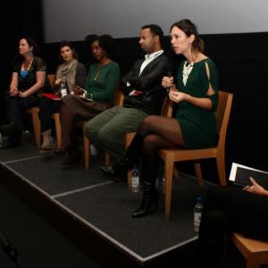 2012 Film Africa festival distribution panel