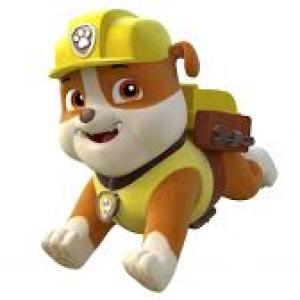 Devan voices Rubble on the animated series Paw Patrol