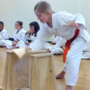 Breaking a board with a hammer fist punch during an April, 2012 Martial Arts belt promotion Test. She currently has a Green Belt in Tang Soo Do.