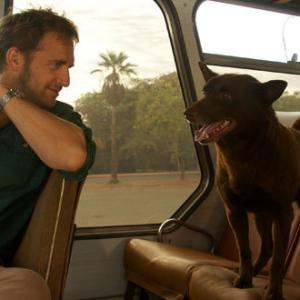 Still of Josh Lucas and Koko in Red Dog 2011