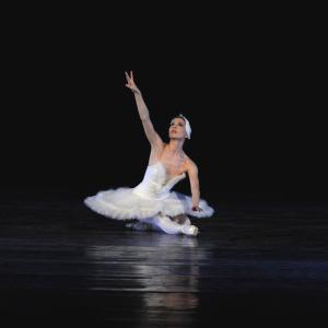 Dying Swan