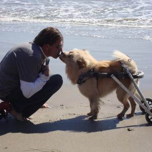Cinnamon w/her wheelchair an me at Dog Beach,Ca....(after car accident)