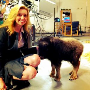 Works well with animals, even the small fuzzy ones. In this case, a three week old musk ox.