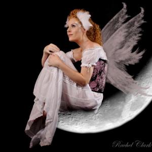 Penny Anne Hoffmann Moon Fairy