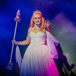 Fairy Godmother in Cinderella Wycombe Swan
