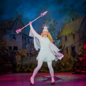 Fairy Godmother in Cinderella, Wycombe Swan.
