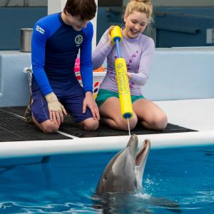 Still of Nathan Gamble and Cozi Zuehlsdorff in Dolphin Tale 2 2014