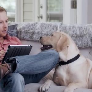 Veterinary Pet Insurance  Bro Dog commercial