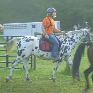 David Topp  competing in Mountin Hopes a charity endurance ride to benefit adults and children with disabilities
