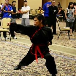 Silver Medal in Kung Fu Long Fist  International Chinese Martial Arts Competition