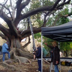 Holly Bridie  1928 in the tree on set of My Place 2009