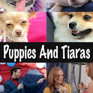 Jahnna Lee Randall, Andrea Dantas, Todd Stroik and Gizmo The Chihuahua in Puppies and Tiaras (2012)