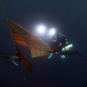 Teddy Smith filming the USS Oriskany at 120 feet underwater