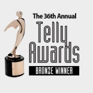 Quitter receives the 2015 Bronze Telly Award for Excellence in Health  Wellness