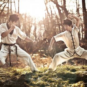 Wushu vs Taekwondo
