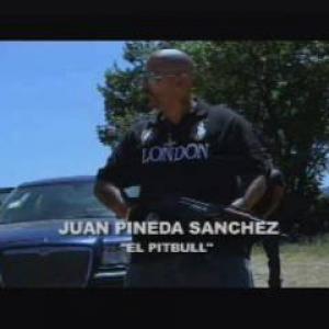 Juan Pineda Sanchez Pitbull of Action