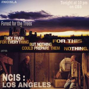 NCIS LA Forest for the Trees directed by the talented Diana Valentine