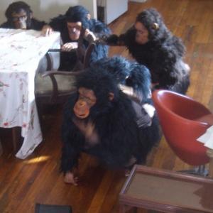 Heather Sultz right in Primate Cinema Apes as Family 2012