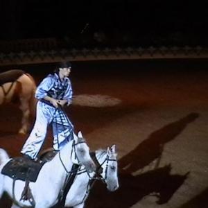 Robert Harvey showcasing two Arabian horses