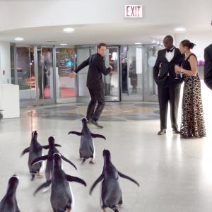 Still of Jim Carrey in Pono Poperio pingvinai 2011