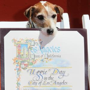Uggie at event of Artistas (2011)