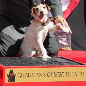 Uggie at event of Artistas 2011