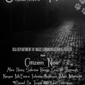 Citizen Noir (2013)