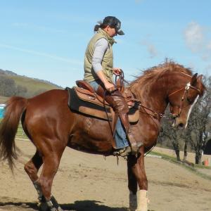 Christa and Hali practicing Reining manuevers.