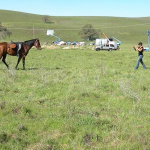 Christa Petrillo performing the look at mestay command at a movie shoot where she was the horse wrangler