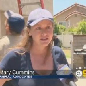 Mary Cummins Animal Advocates Cummins Real Estate Appraisals Los Angeles California httpwwwAnimalAdvocatesus httpwwwMaryCumminscom httpwwwMarycc