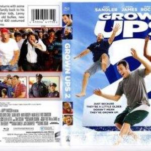 Grown Ups 2 DVD