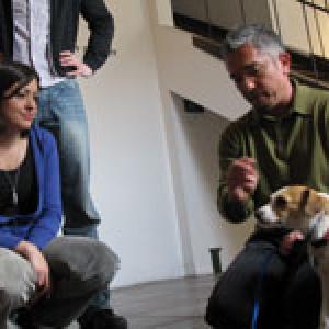 Ellen Thompson Caesar Millan and Molly on Dog Whisperer With Caesar Millan