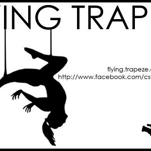 FLYING TRAPEZE is a documentary directed by Celine Gaudry It follows different people and explore the reasons that push them to do Flying Trapeze