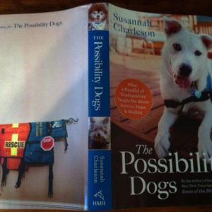 Next book 'The Possibility Dogs' back and front cover. Mizzen and Ollie T on spine, Jake Piper on cover (2012).