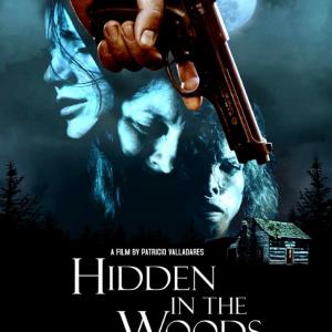 Hidden in the Woods Movie Cover