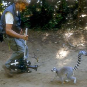 Andrew Young filming ringtailed lemur in Madagascar