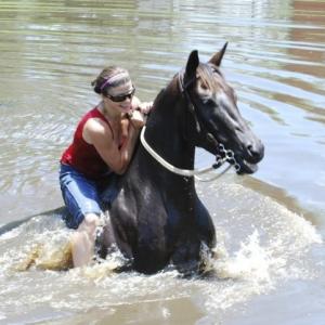 Stuntwoman Crystal Hooks swimming with horses