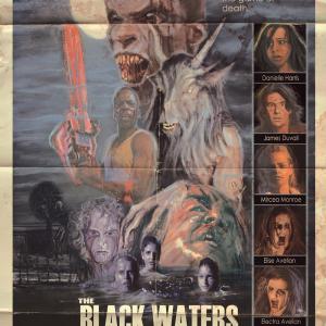 The Black Waters of Echo's Pond retro style theatrical poster.
