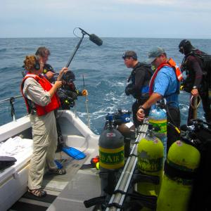 Ocean Mysteries with Jeff Corwin  Nancy Case captures Jeffs audio as he delivers dialogue that setsup deep dive to look for Lion Fish ProducerDirector  Cinematographer Rob Case in background