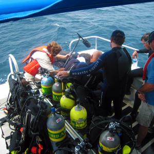 Capturing audio during Ocean Mysteries Lionfish episode with NOAA