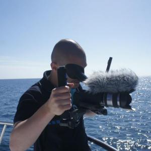Filming Dolphins in the Pacific Ocean
