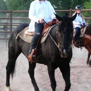 Actor Konnor Dickinson training, Western Equestrian style, on Spider, an Arabian Horse.